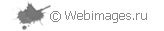 Webimages.ru - Создание и разработка ВЕБ сайтов